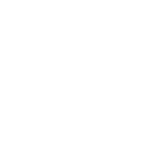 Witte logo van Belooft u getrouw: trouwambtenaar in binnen- en buitenland